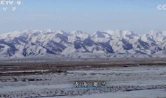 视觉志|那些睡在车里不回家的人，秘密都被拍下来了｜百家故事