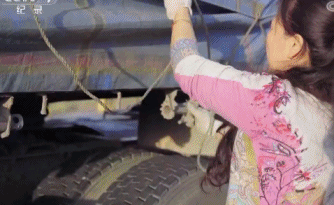 视觉志|那些睡在车里不回家的人，秘密都被拍下来了｜百家故事