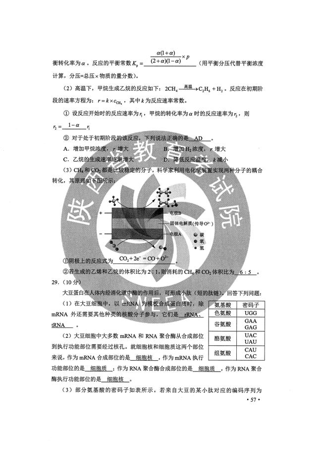 高考|2020高考理综真题答案完整版汇总 2020高考理科综合真题及答案解析全国一卷二卷三卷