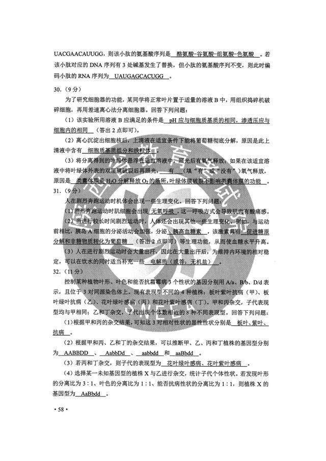 高考|2020高考理综真题答案完整版汇总 2020高考理科综合真题及答案解析全国一卷二卷三卷