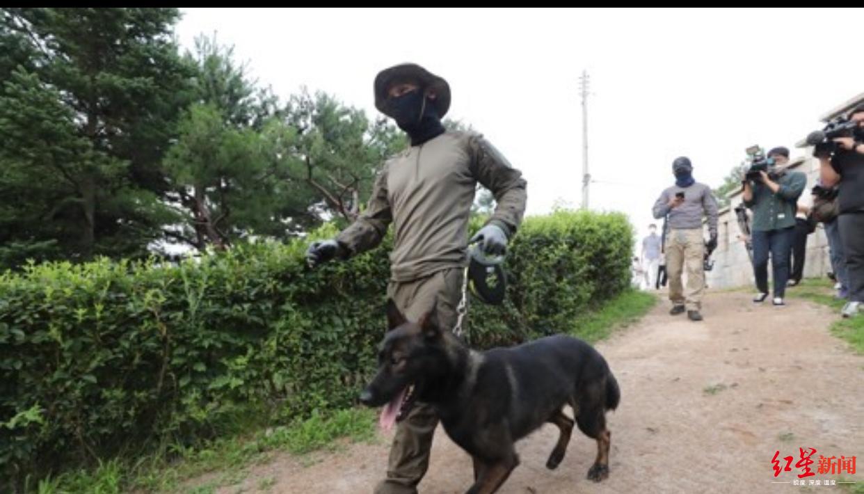 首尔|首尔市长失联！头天还在社交媒体上谈“绿色新政”，这些细节浮出水面……