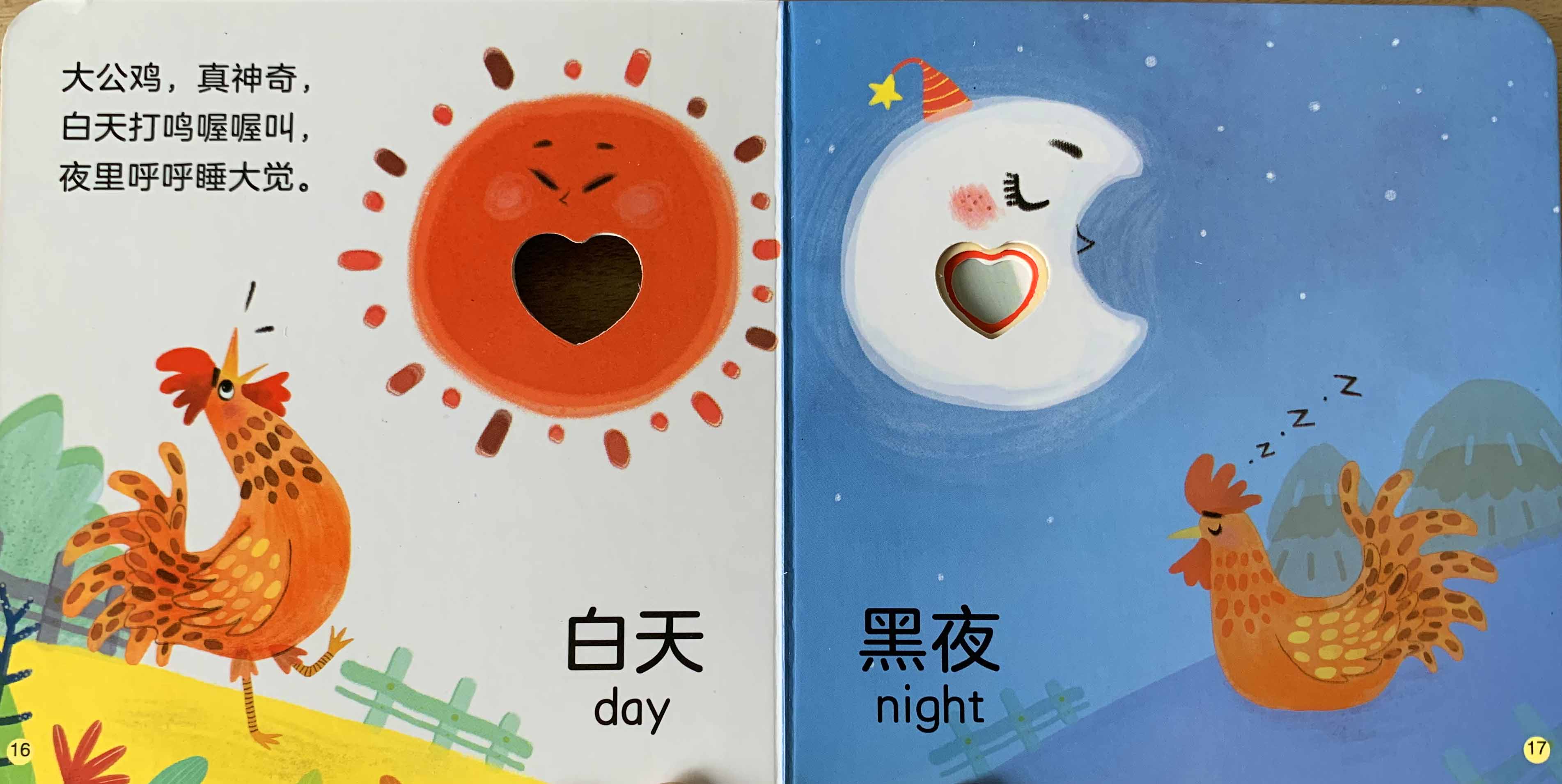 白天黑夜