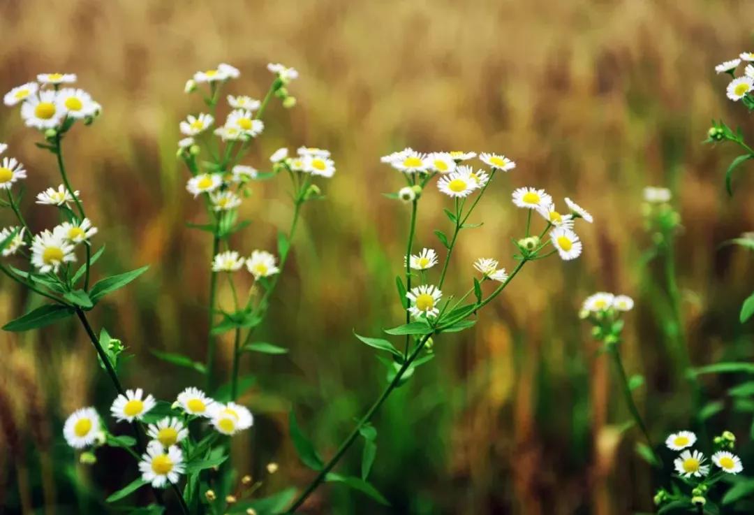 教育|找到好工作的人，都掌握了3个秘诀