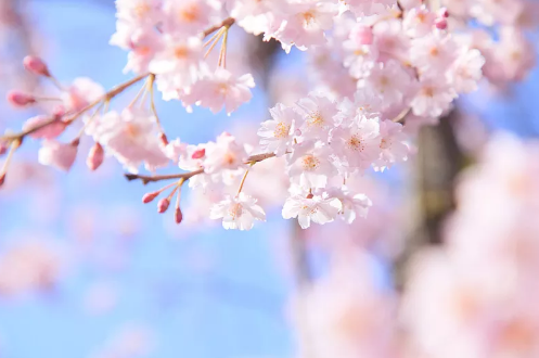 社会|一个人最大的灾难：对外人和气，对家人发脾气
