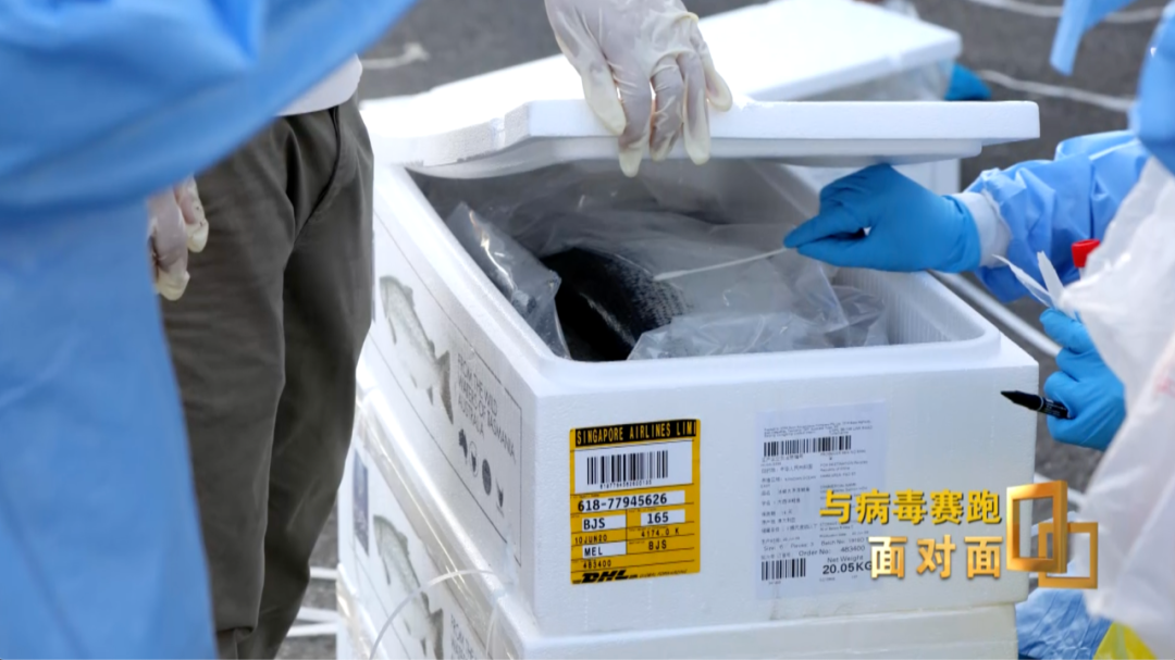 『』“西城大爷”的最强大脑和惊人记忆力,竟是这样“压榨”出来的