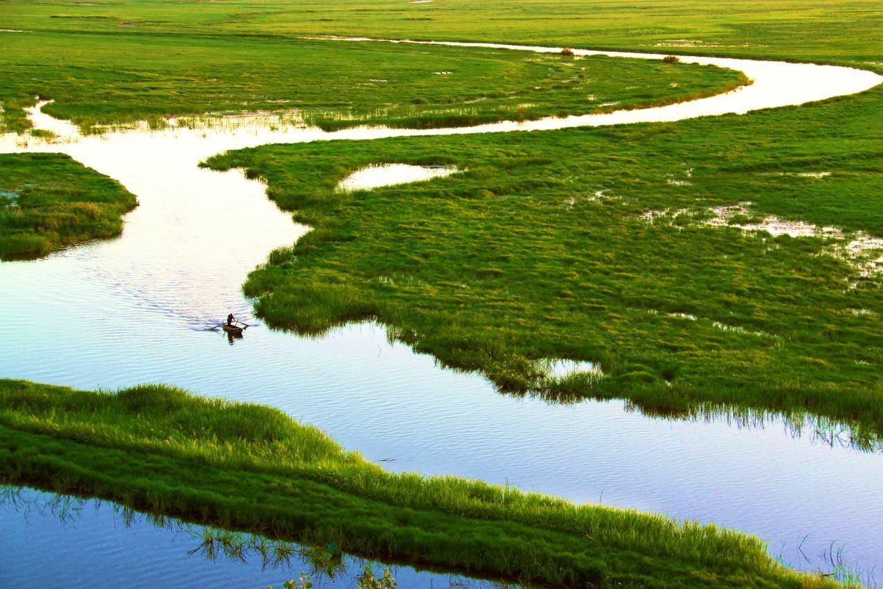 科学|“北大仓”为何要退耕还“荒”？