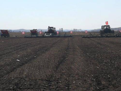 科学|“北大仓”为何要退耕还“荒”？