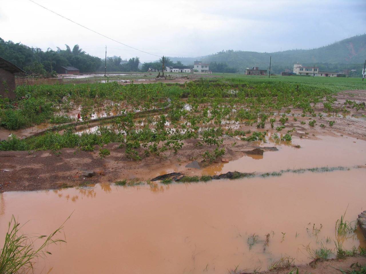 科学|“北大仓”为何要退耕还“荒”？