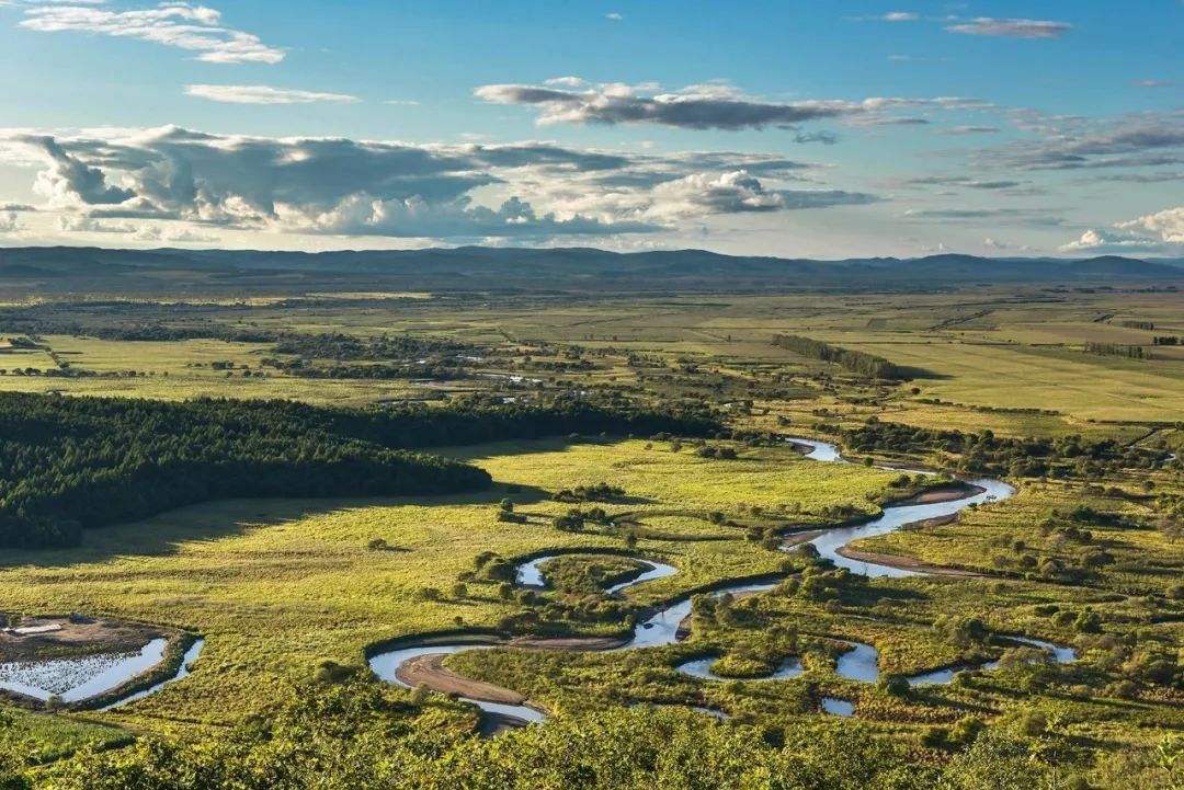 科学|“北大仓”为何要退耕还“荒”？