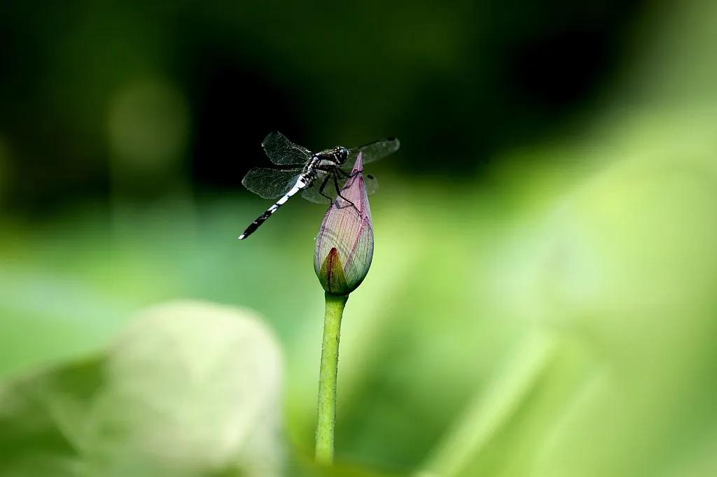 两性|谁都不傻，只是不说而已