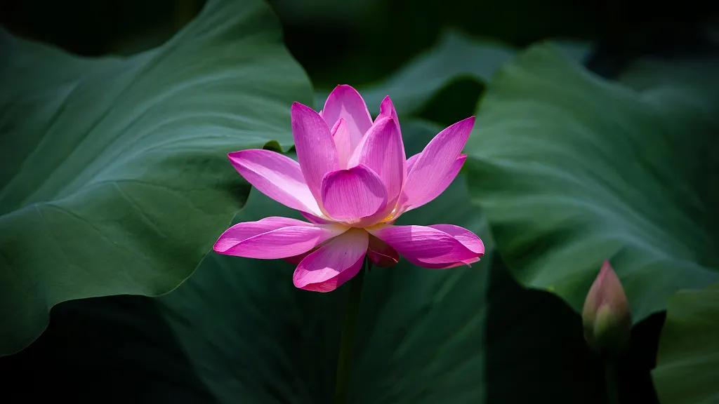 两性|谁都不傻，只是不说而已