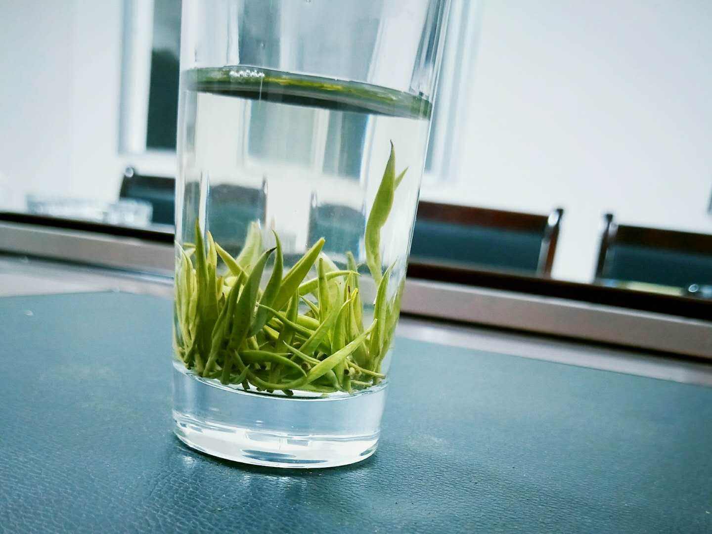 绿茶有助于缓解焦虑