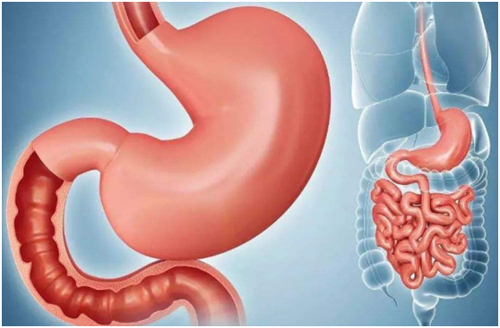 幽门螺杆菌|幽门螺杆菌感染,3种食物大胆吃,坚持住胃就赢了,不痛不反酸