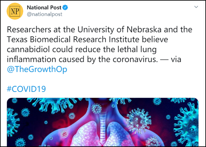 大麻|加拿大著名媒体转发“新冠研究成果”,链接竟来自大麻推广网站