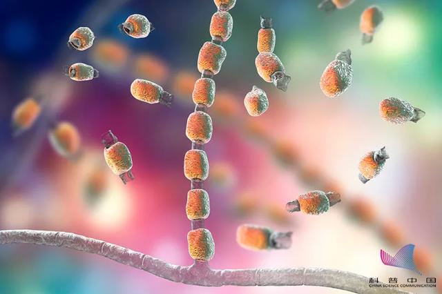 河南交通广播|紧急提醒！尚无特效药！近期3名中国公民感染，其中2人病故