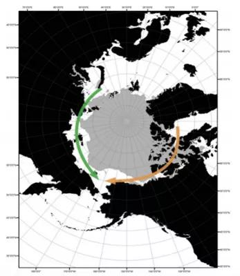 携带PDV的海豹的潜在活动航道随北极海