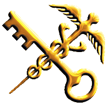 海关|解读｜关于柬埔寨鲜食芒果输往中国植物检疫要求的公告