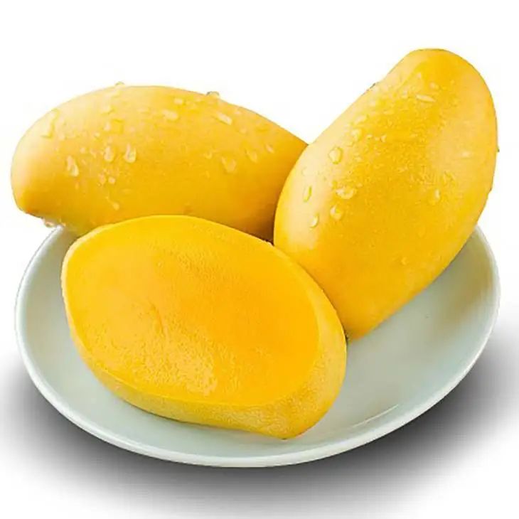 海关|解读｜关于柬埔寨鲜食芒果输往中国植物检疫要求的公告