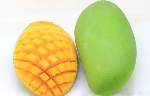 海关|解读｜关于柬埔寨鲜食芒果输往中国植物检疫要求的公告