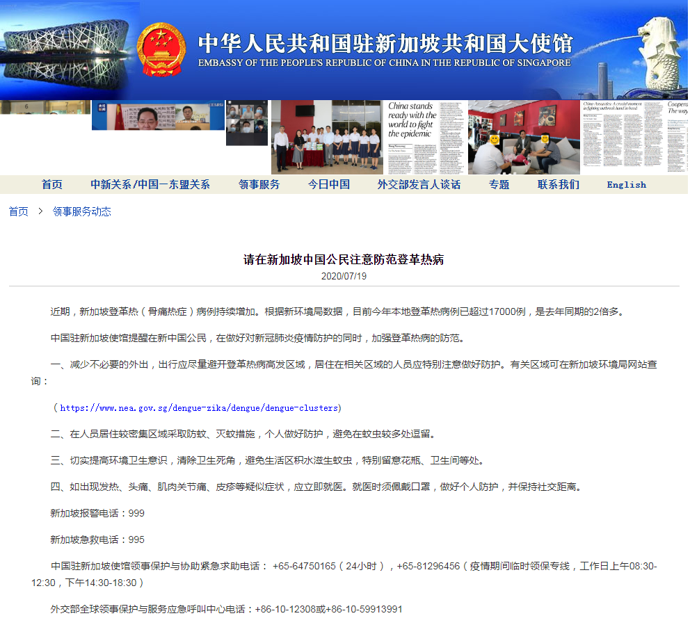登革热|新加坡今年本地登革热病例超17000例,中使馆发提醒