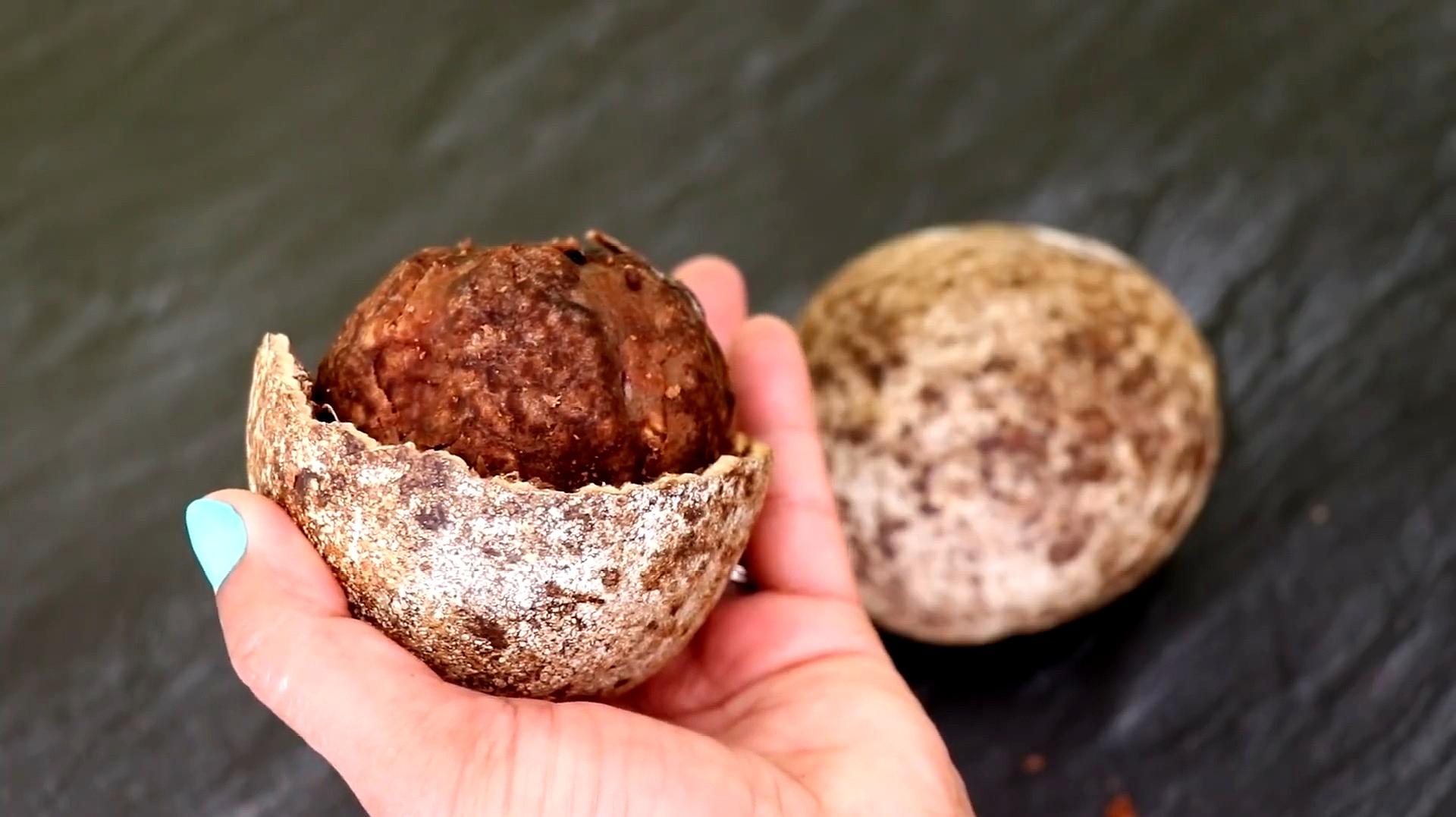 印度神果木苹果世界上最难吃的水果之一暗黑水果中的战斗