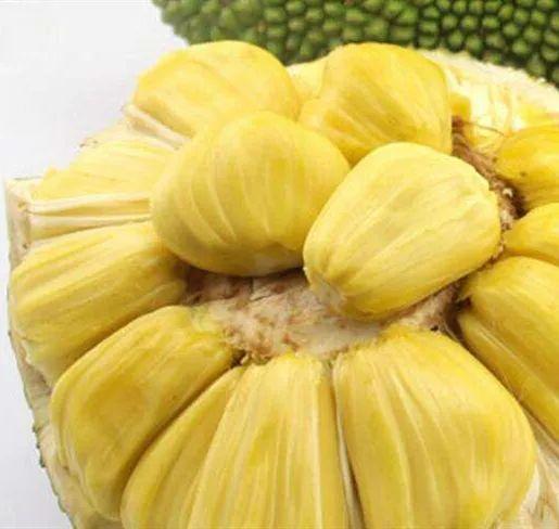 水果营养|水果营养排行榜：维C含量最高的水果竟然不是橙子，而是……