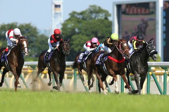 环球时报|补税10亿！中国男子在日本赌马赢97亿日元后因瞒报被查