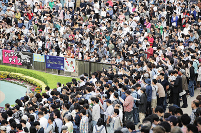 环球时报|补税10亿！中国男子在日本赌马赢97亿日元后因瞒报被查