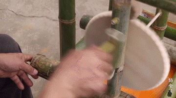 阿木|中国大爷成油管网红,上千万人点赞:不输李子柒!