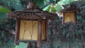 阿木|中国大爷成油管网红,上千万人点赞:不输李子柒!