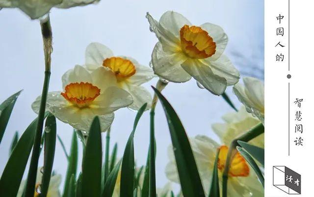 深度好文|人到中年，取悦自己（深度好文）