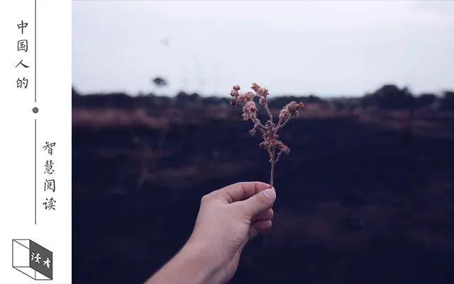 深度好文|人到中年，取悦自己（深度好文）