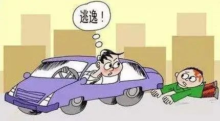 自助行为|阻止肇事者“撞了就跑”是否违法？