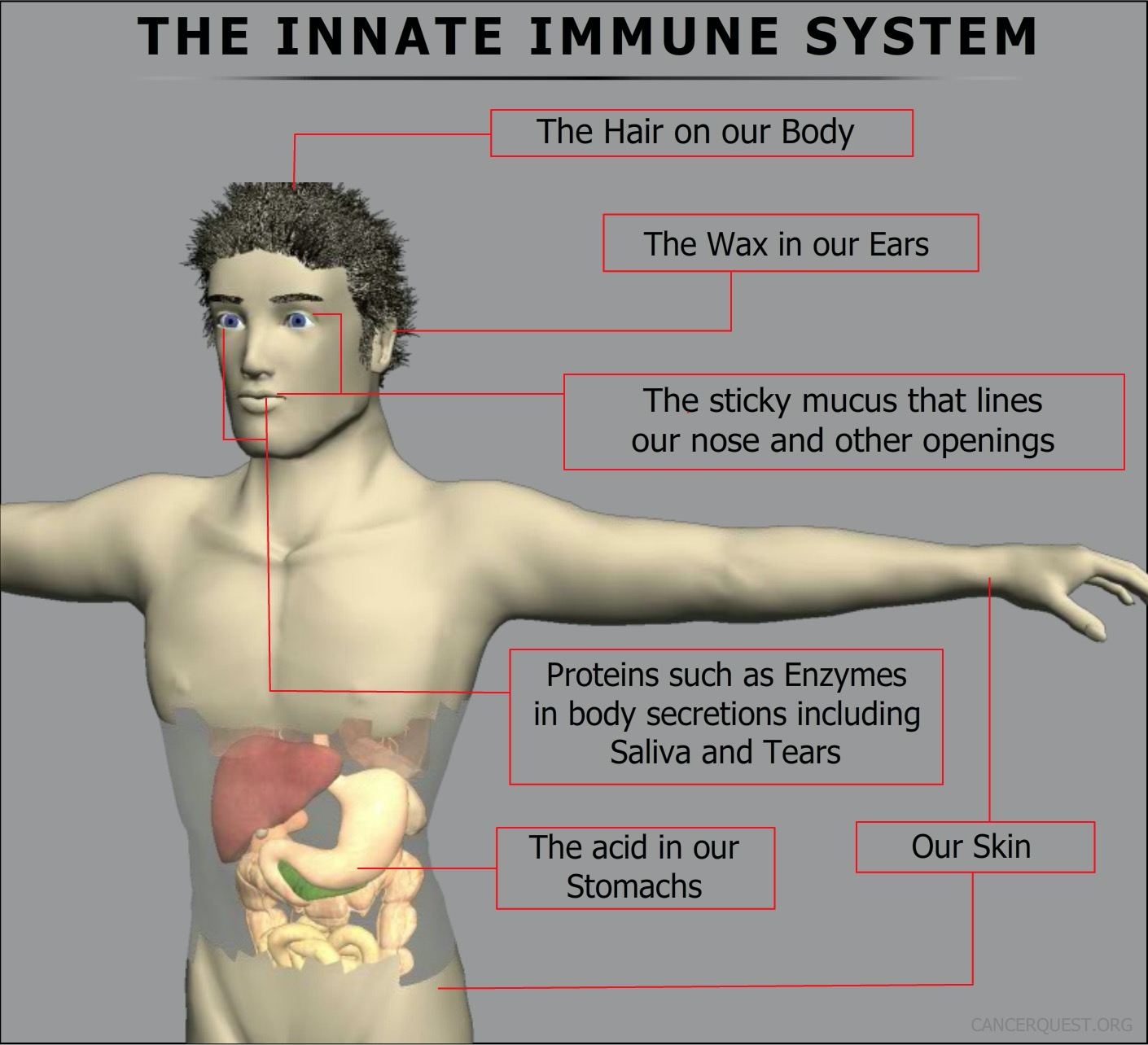 临床实验|中国重组新冠疫苗二期临床试验结果公布，你看懂了吗？