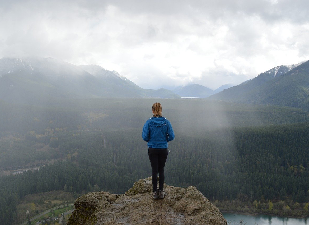 科学|想要摔死一只蚂蚁，需要多高才行？多高恐怕都不行