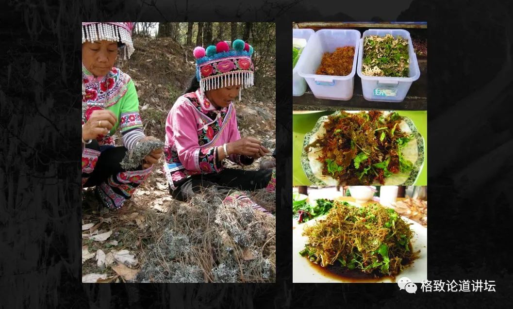 植物|人类未来移民火星，先遣队可能是这种不起眼的生物