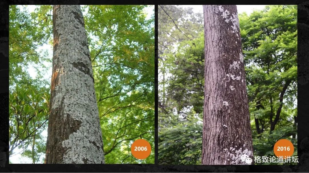 植物|人类未来移民火星，先遣队可能是这种不起眼的生物
