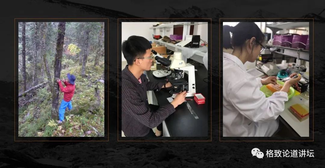 植物|人类未来移民火星，先遣队可能是这种不起眼的生物