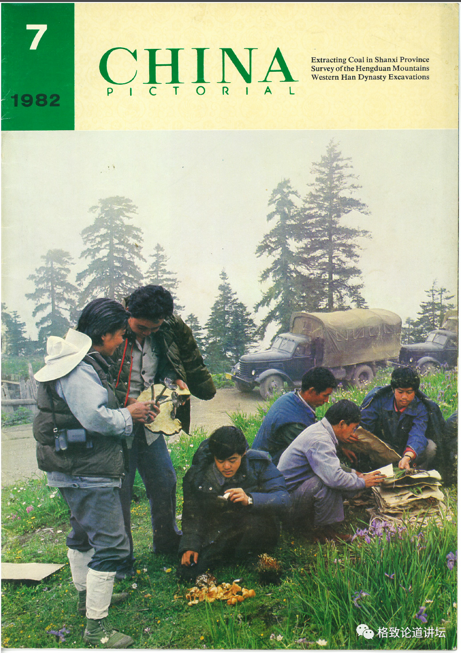 植物|人类未来移民火星，先遣队可能是这种不起眼的生物