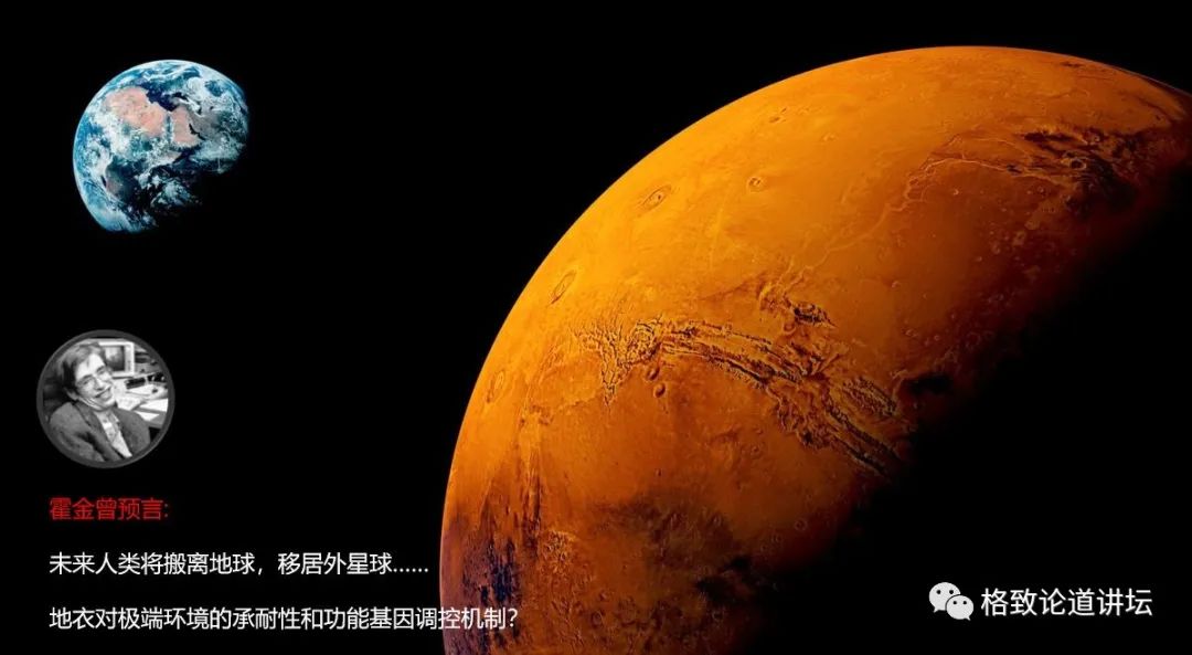 植物|人类未来移民火星,先遣队可能是这种不起眼的生物