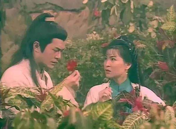 植物|曼陀罗有毒，为什么农村屋前屋后还有很多人种？