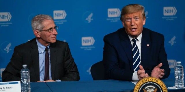 国际|福奇：如果疫苗足够多，绝大多数人接种，美国明年有望恢复正常