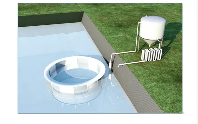 农业|农业农村部2020年十大引领性技术发布