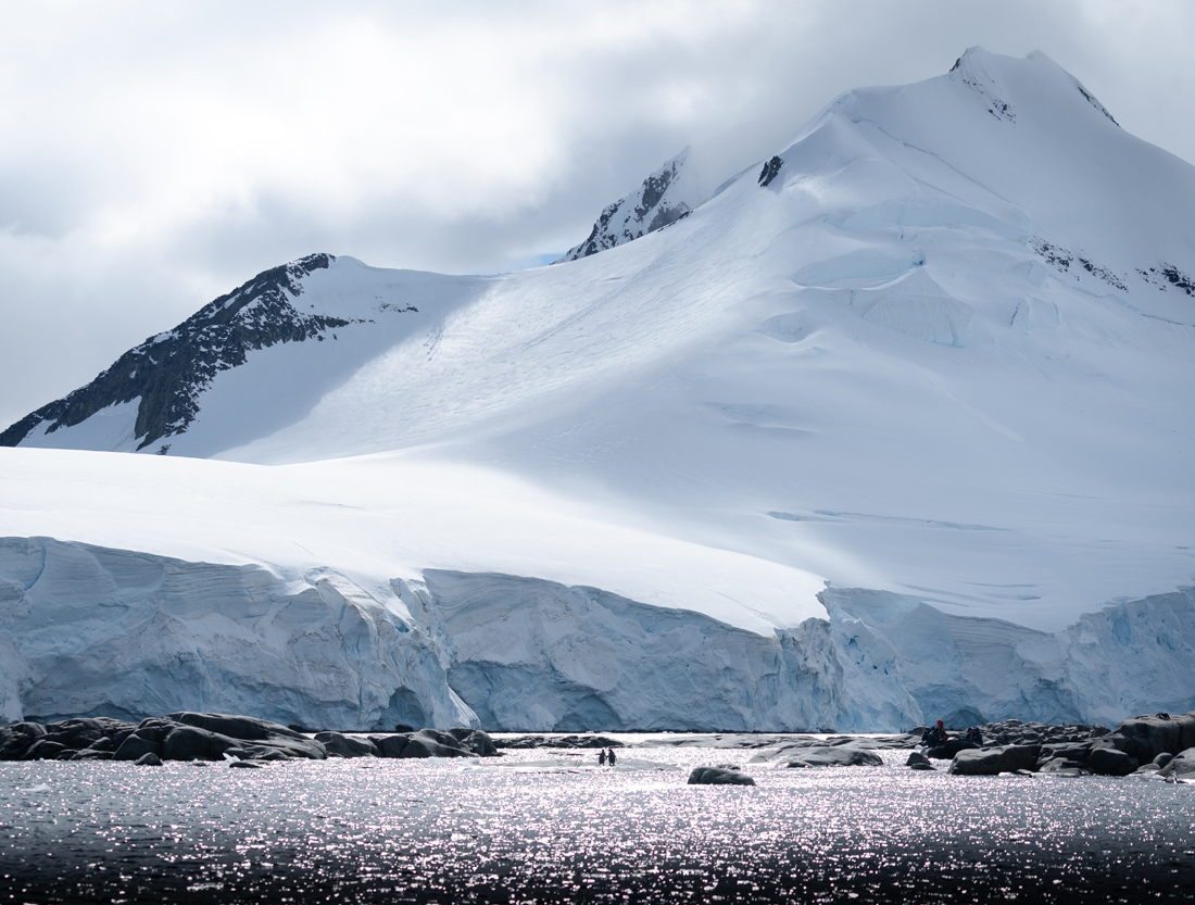 南极|当南极的雪生藻类越来越多，我们开始忧虑，南极会不会越来越热？