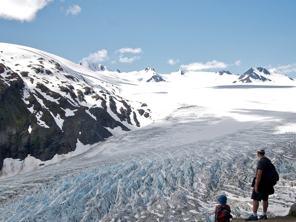 南极|当南极的雪生藻类越来越多，我们开始忧虑，南极会不会越来越热？