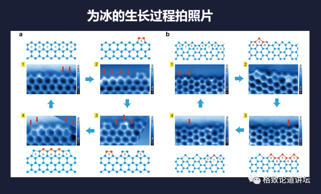 水分子|对科学家而言，水为什么被称为自然界最复杂的物质之一？