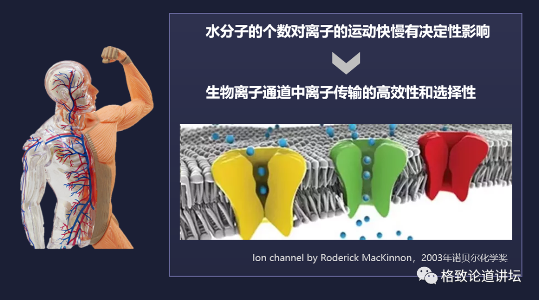 水分子|对科学家而言，水为什么被称为自然界最复杂的物质之一？