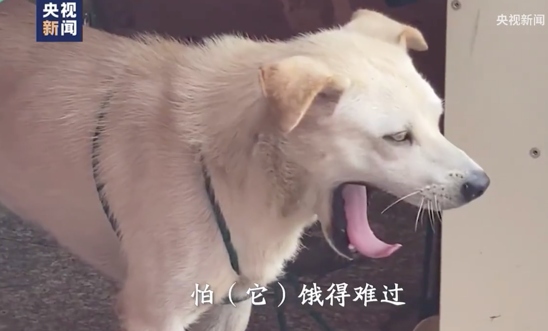 视觉志|因洪水无家可归的人，终于说出了真相。｜百家故事