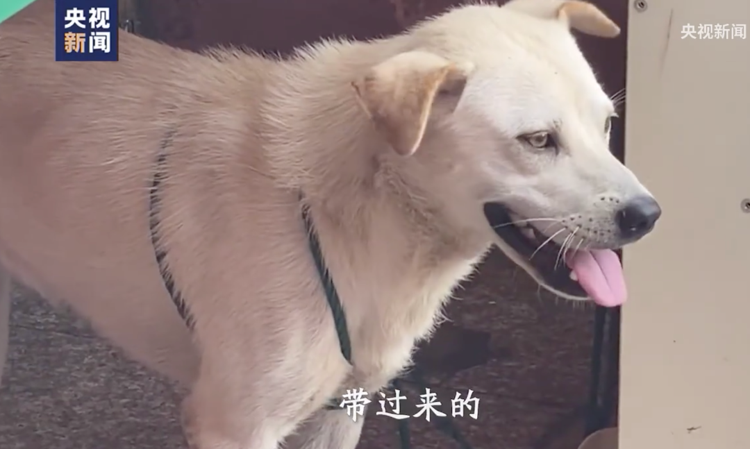 视觉志|因洪水无家可归的人，终于说出了真相。｜百家故事