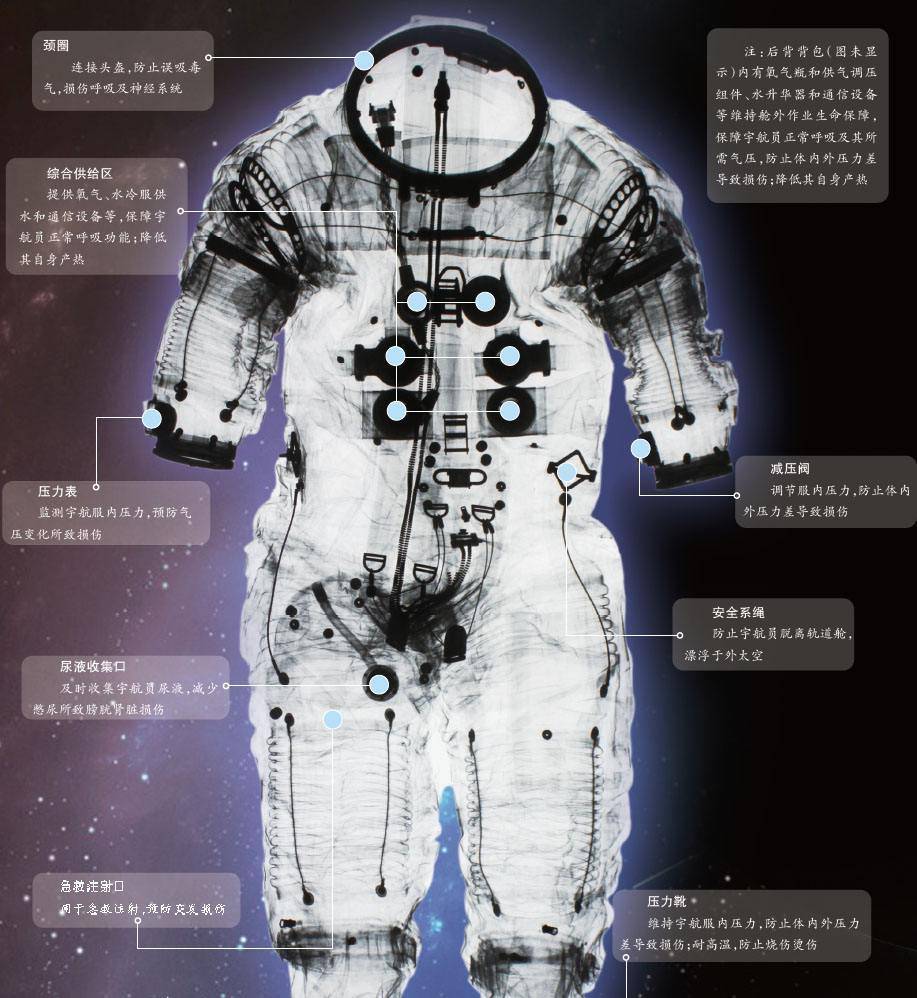 宇航员|中国首位女宇航员刘洋，为何没生育就上太空？